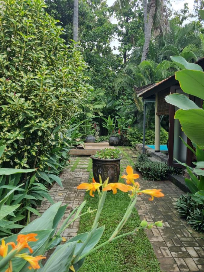 Villa Jati - Private Poolside Villa Central Lovina Luaran gambar